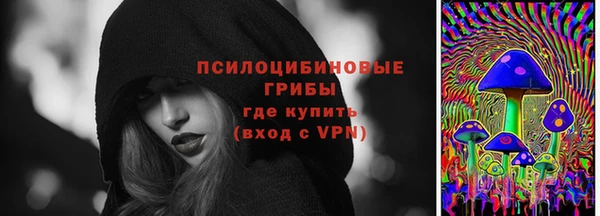 таблы Горняк