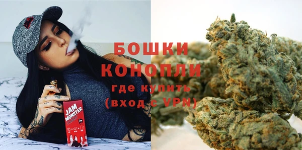 альфа пвп Горно-Алтайск