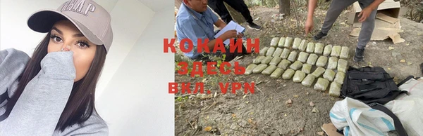 таблы Горняк